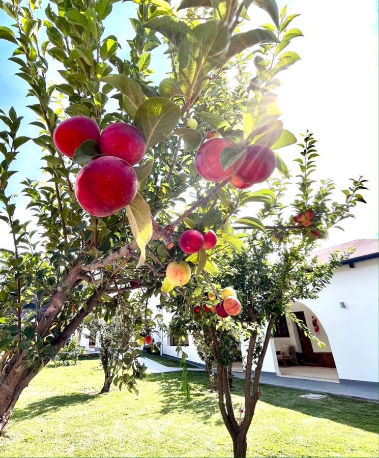 Bella Tilcara Boutique Hotel Bagian luar foto